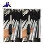 10feet height Heavy Duty Aluminum Telescopic Handle