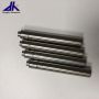 Stainless Steel Telescopic Pole with Screw
