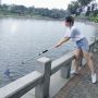 custom adjuastable telescopic tool aluminum Flip lock Extension Pole for cleaning swimming pool tool