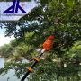 Easy work aluminum telescopic fruit picker