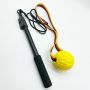 Telescopic Flirt Pole