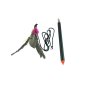 Pet Toy Stainless Steel Pipe Telescopic Pole Extension Tube Pet Flirt Pole For Dog Or Cat