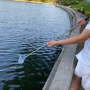 stainless steel telescopic antenna water quality testing pole with handle grip